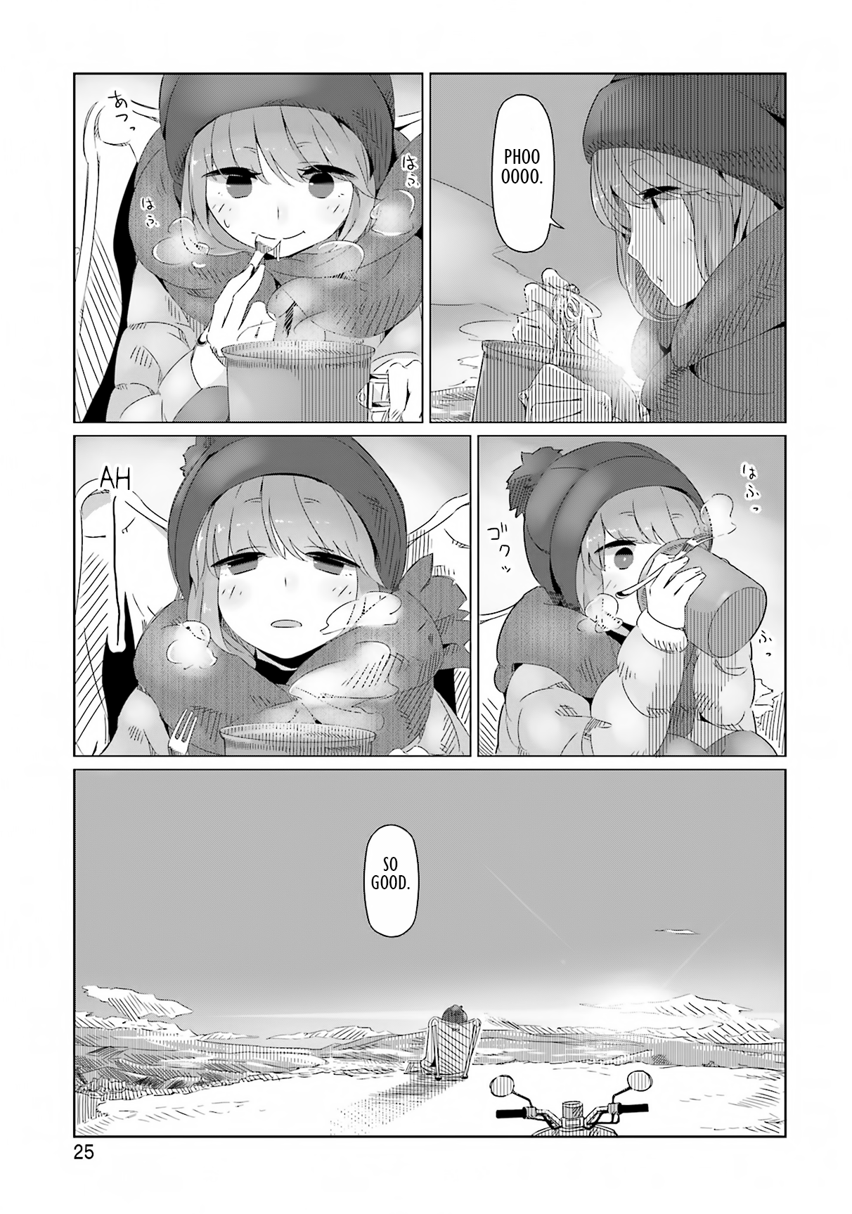 Page 25