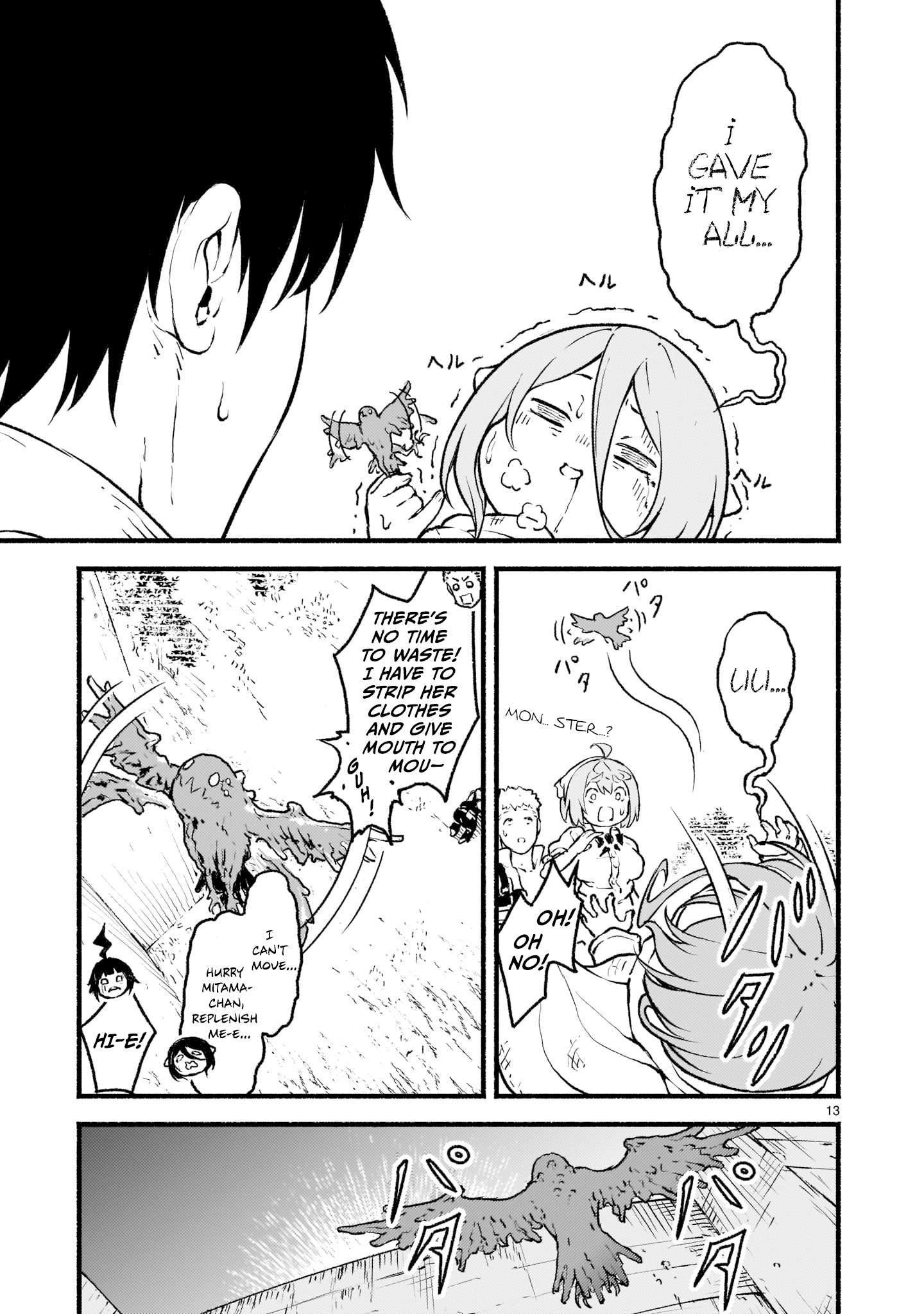 Page 13