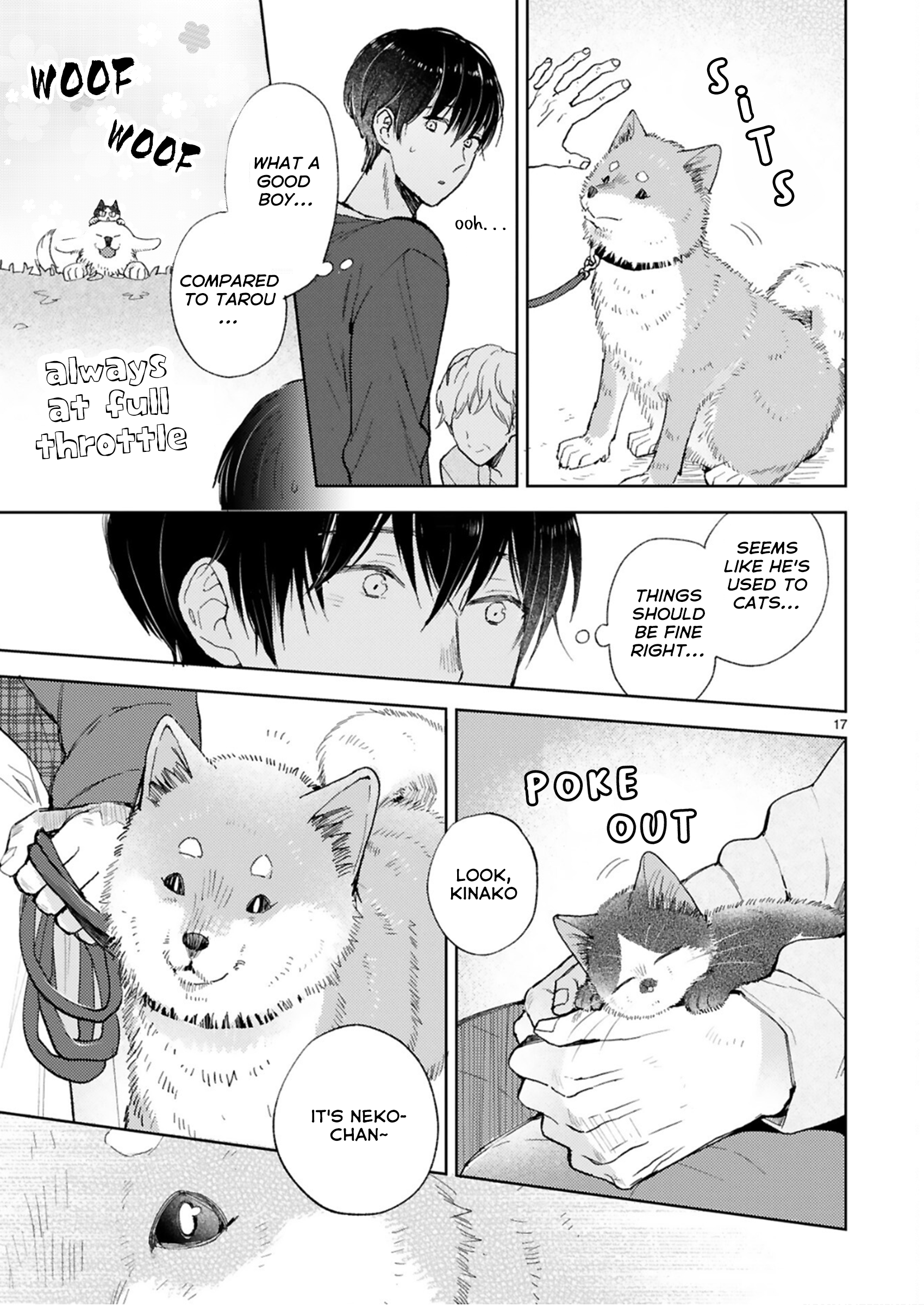 Page 17