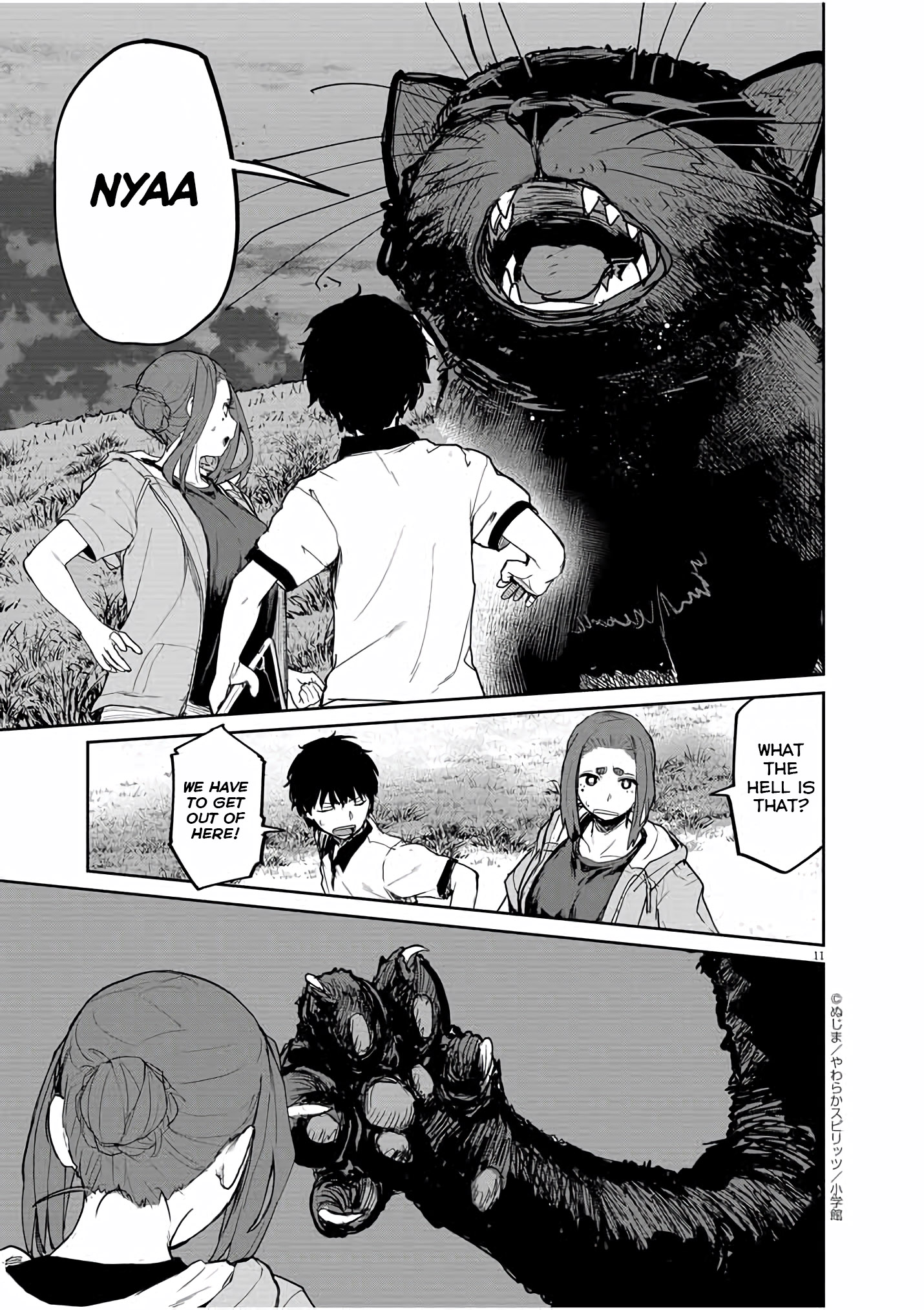 Page 11