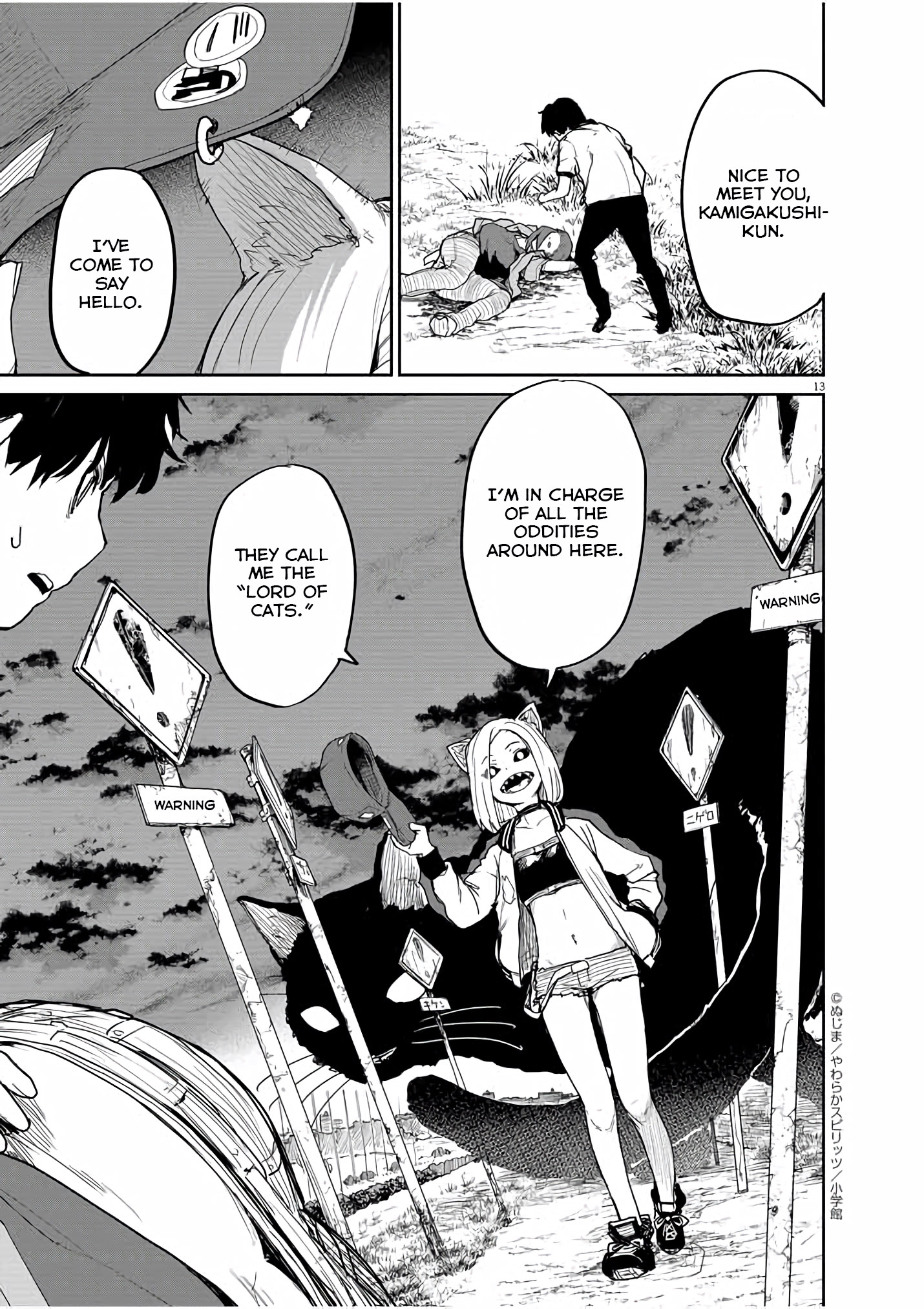 Page 13