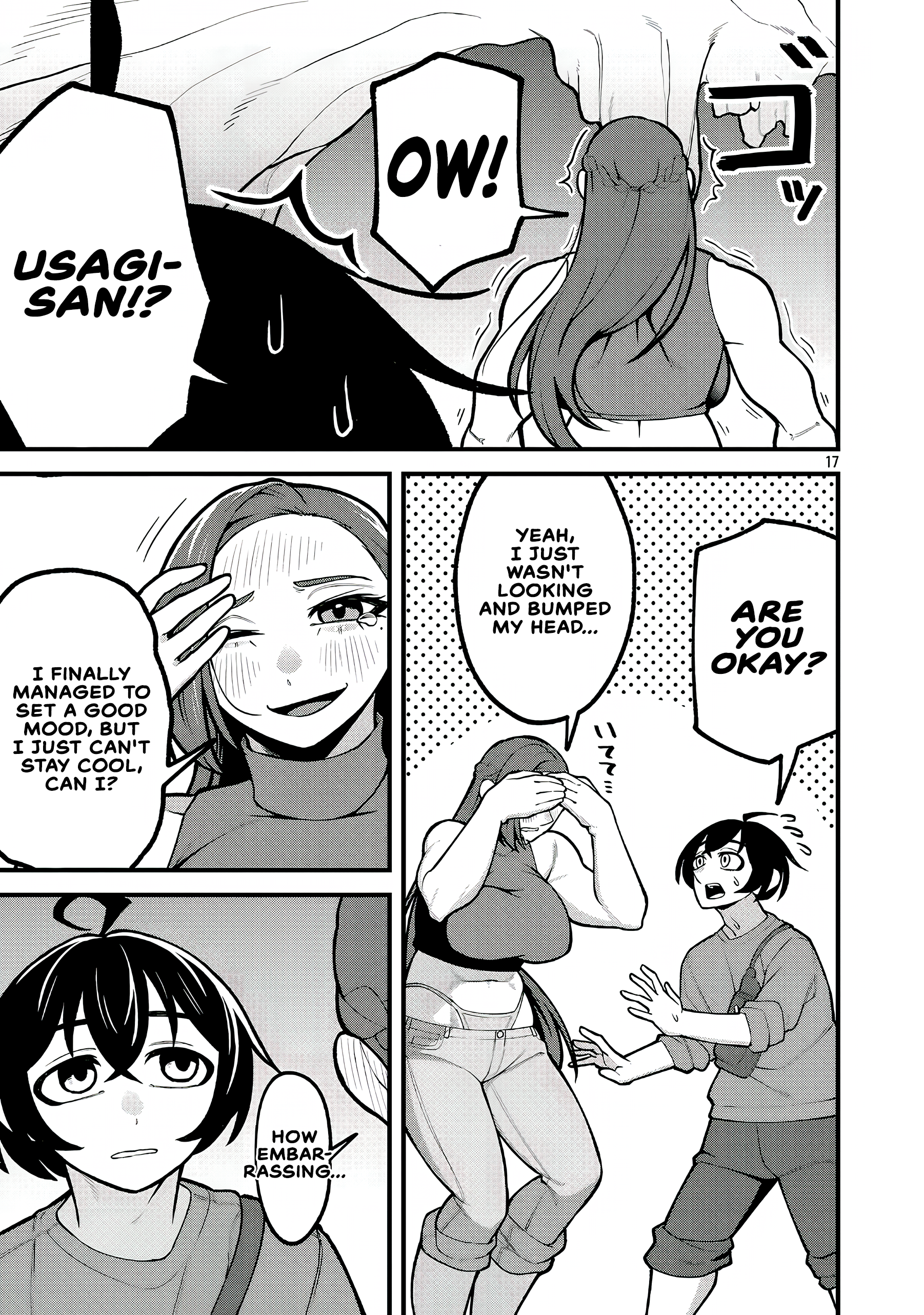 Page 17