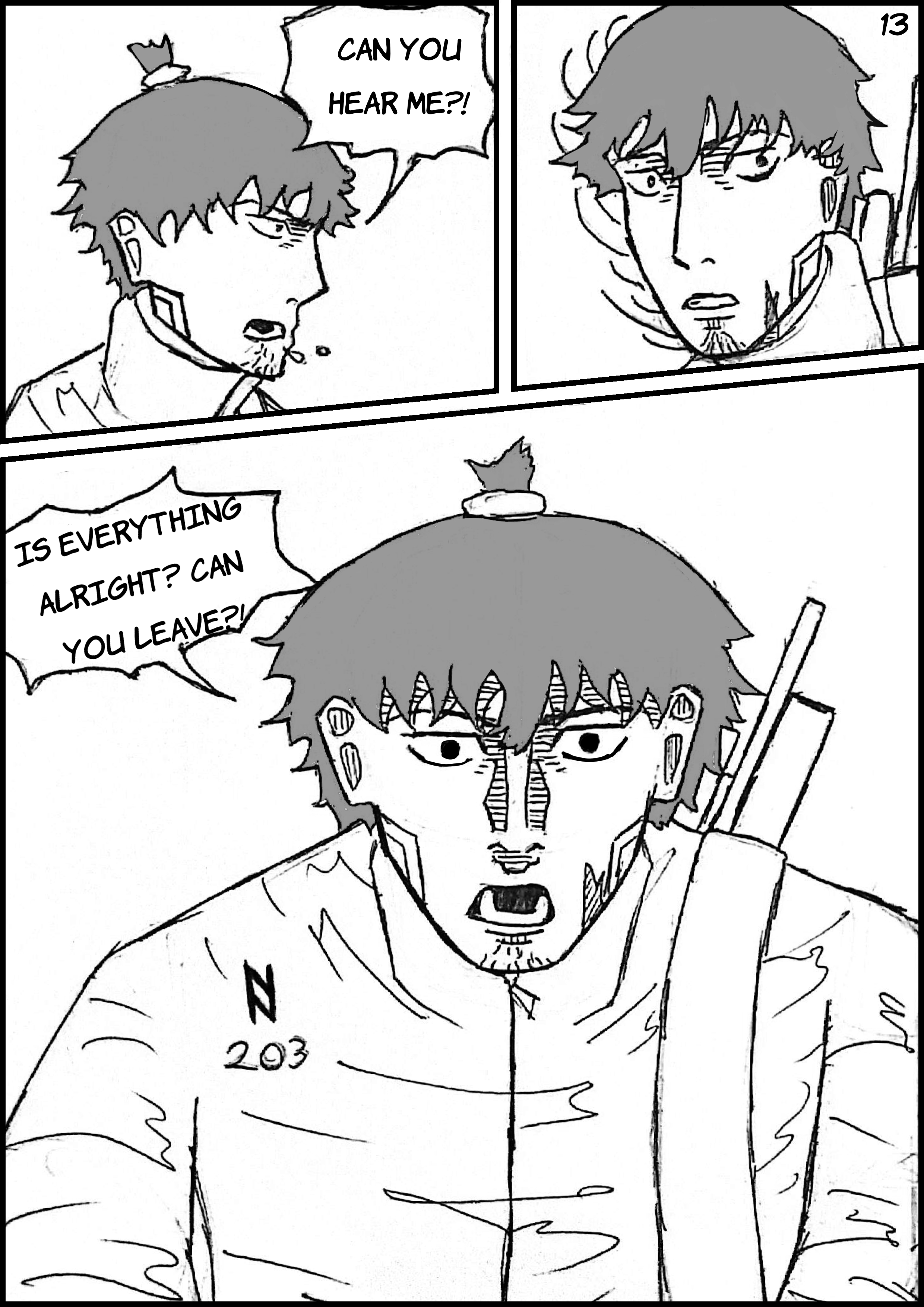 Page 13