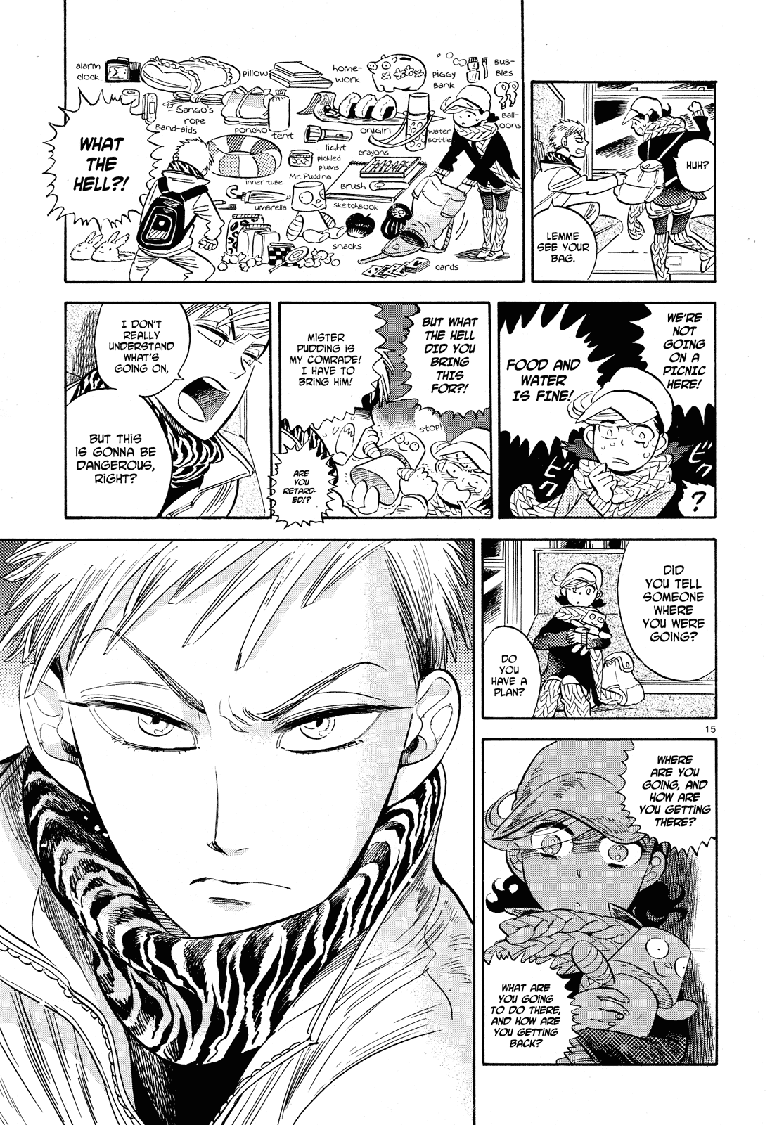 Page 15