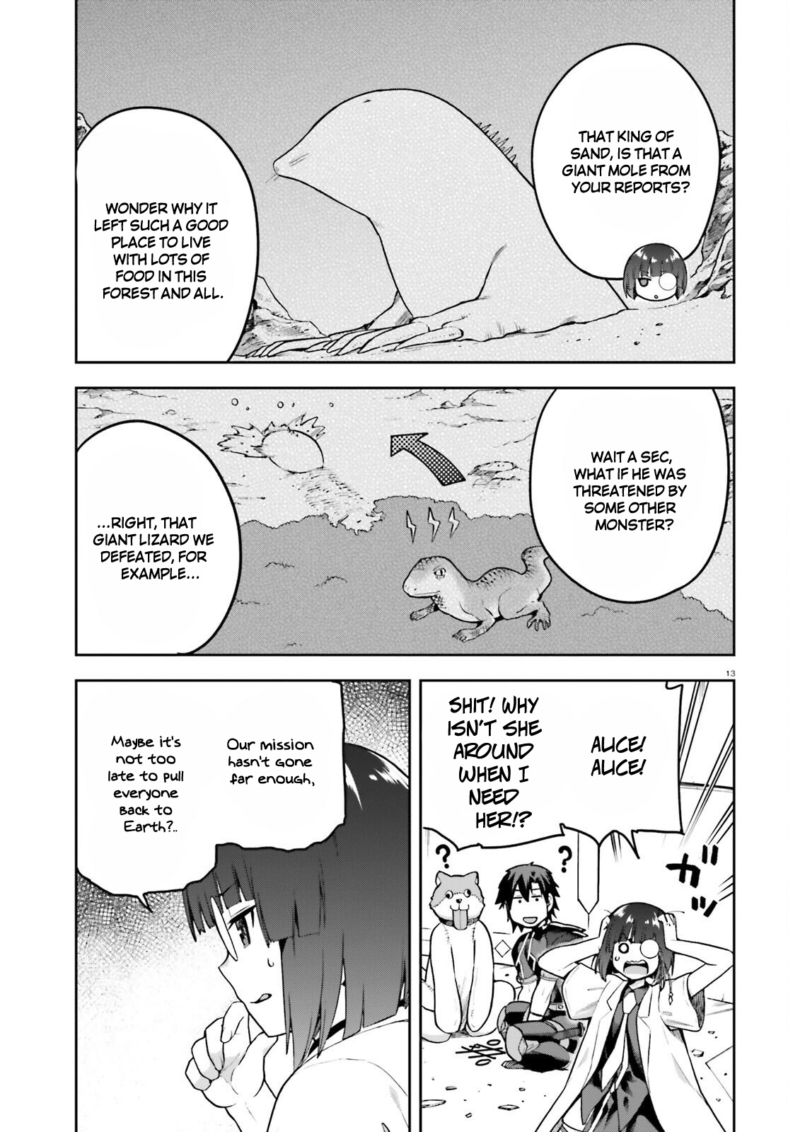 Page 13