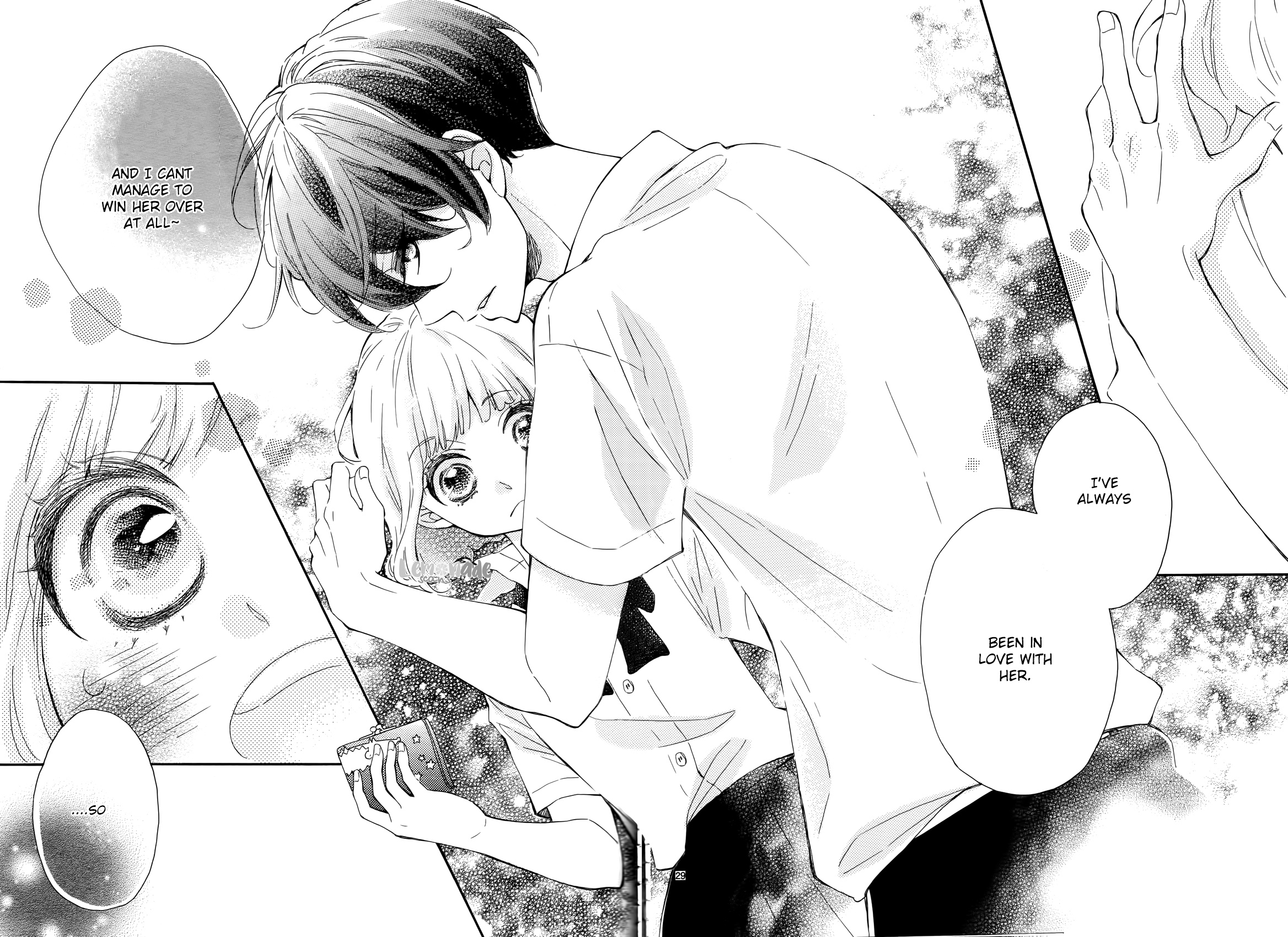 Page 29