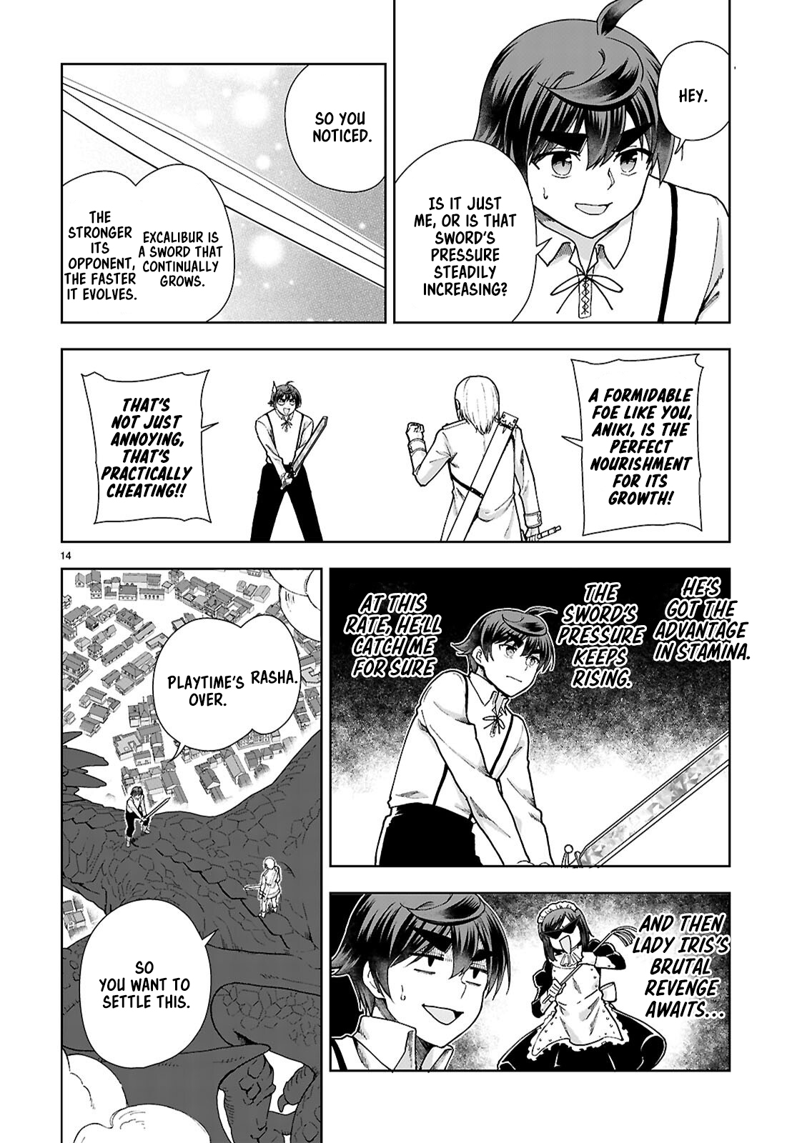Page 14