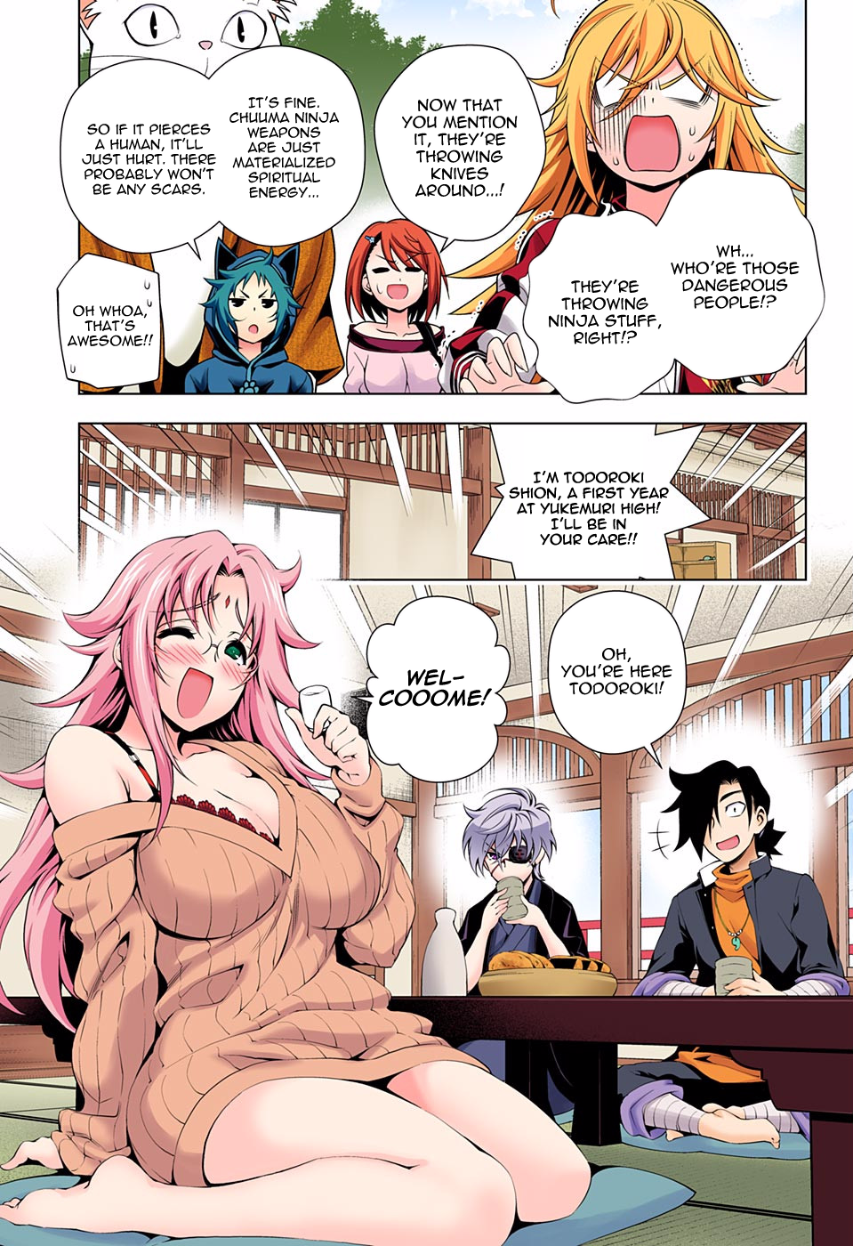Page 5