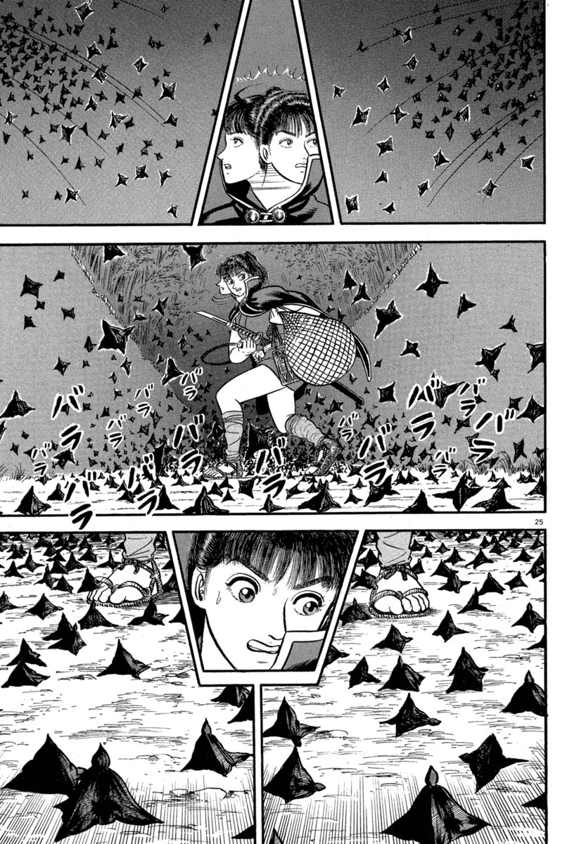 Page 25